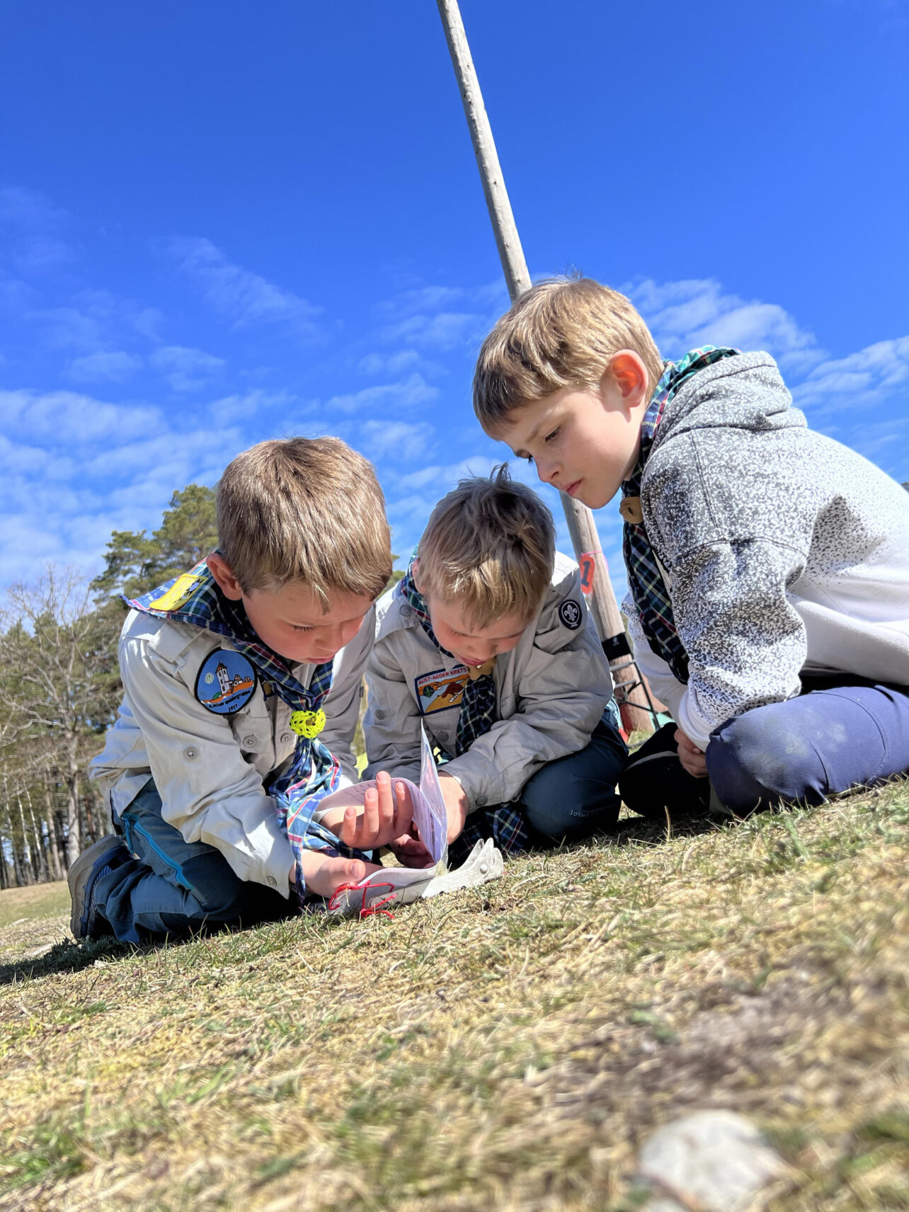 Tre unge gutter i speideruniformer undersøker noe på bakken utendørs på en solskinnsdag.