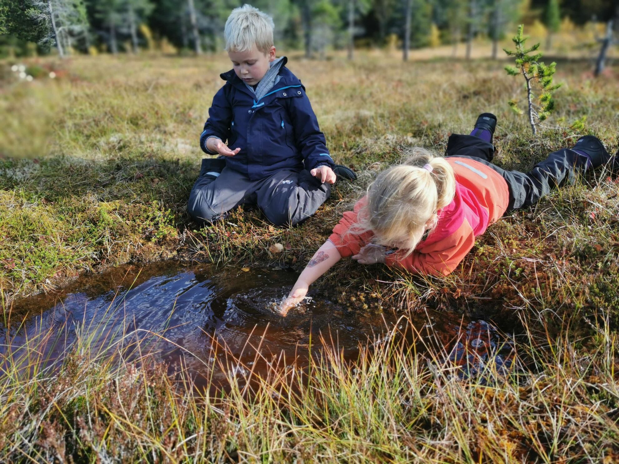 To barn utforsker naturen: gutt i blå jakke sitter, jente i rosa jakke rekker hånden ned i en liten bekk midt i et gresskledd område.