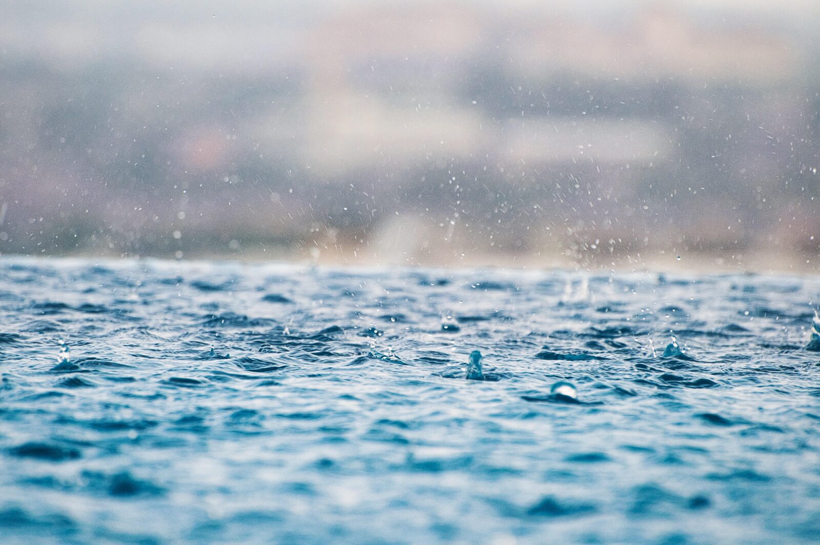 regn
