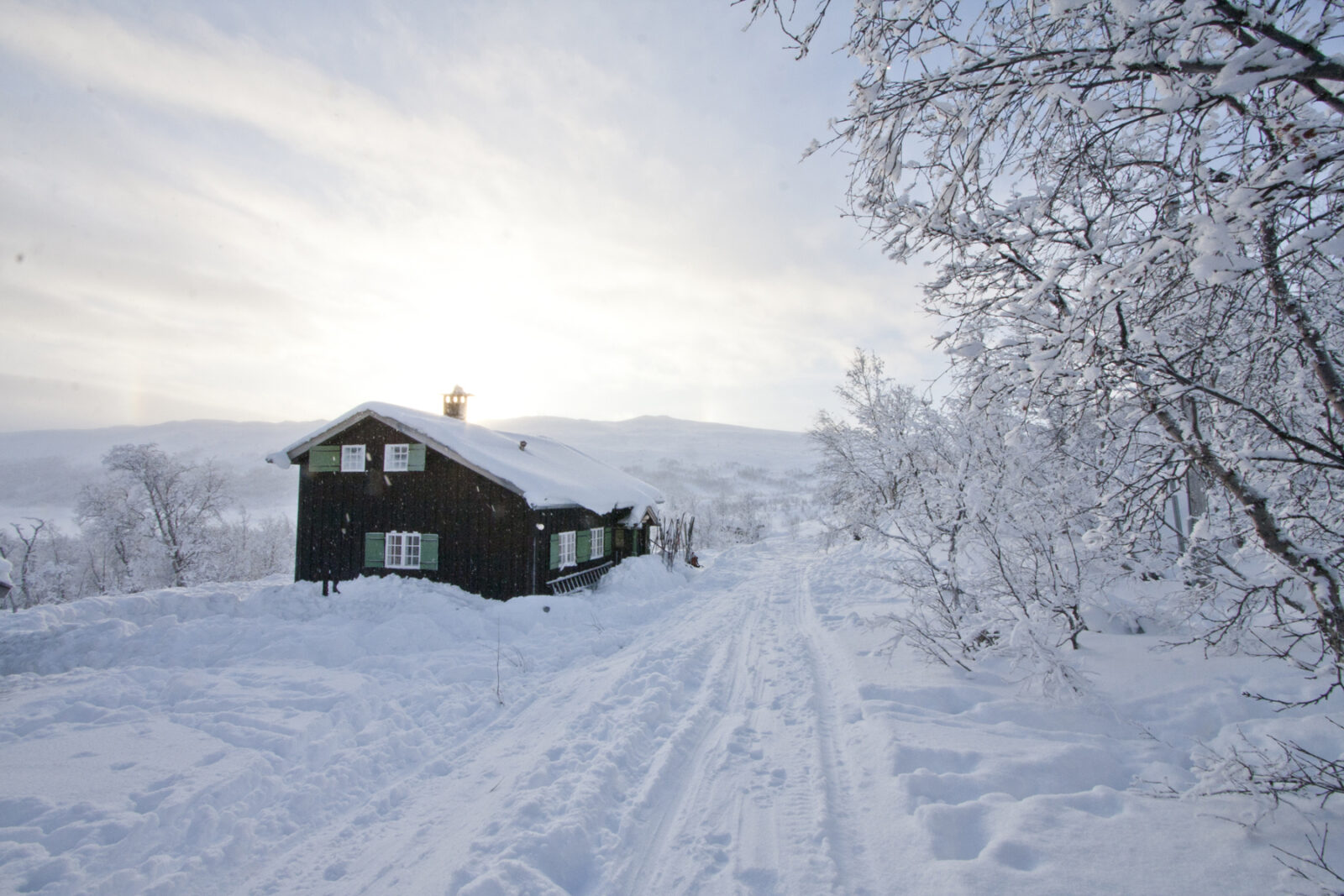 Vinterlandskap med snødekt hytte og skiløype