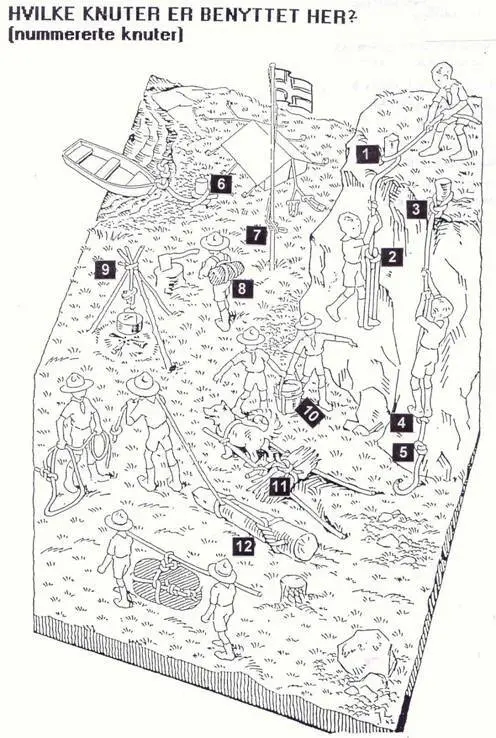 6157.jpg