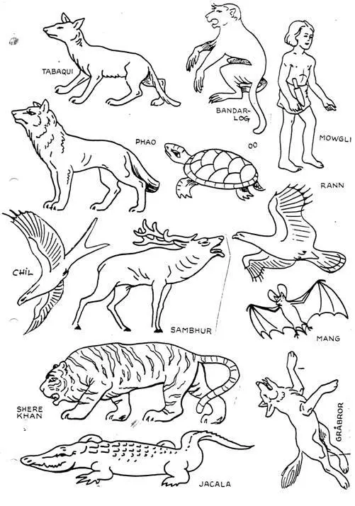 Tegninger av jungeldyrene – ark 2