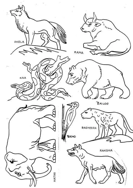 Tegninger av jungeldyrene – ark 1