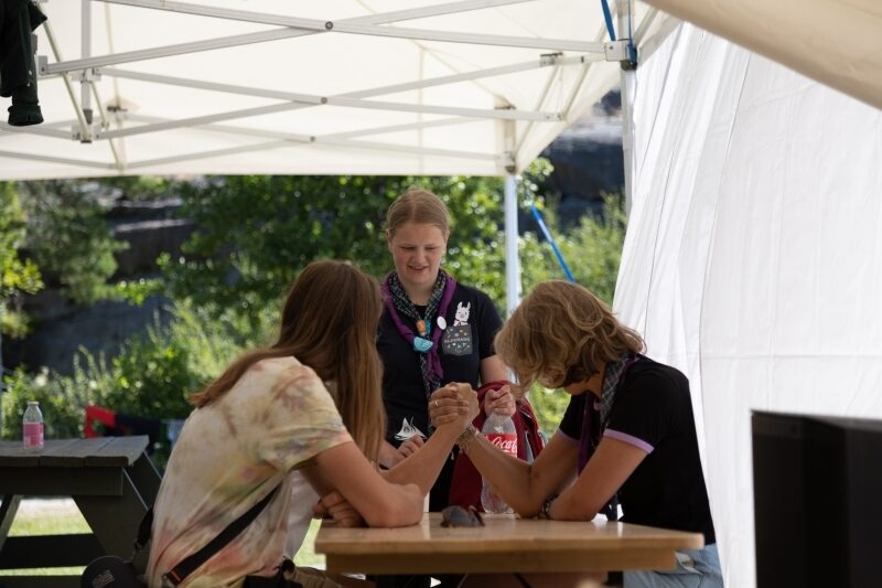 To rovere som bryter håndbakk