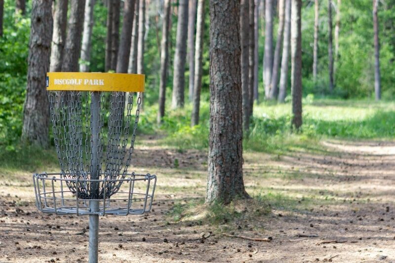 En discgolfkurv i skogen