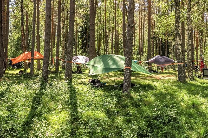 Tretelt som henger mellom trærne i skogen