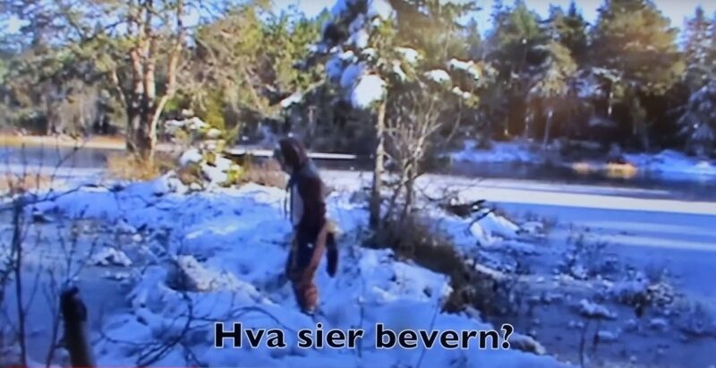 Barn utkledd som bever ved en snødekt innsjø med teksten «Hva sier bevern?»