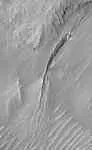 dunes.jpg